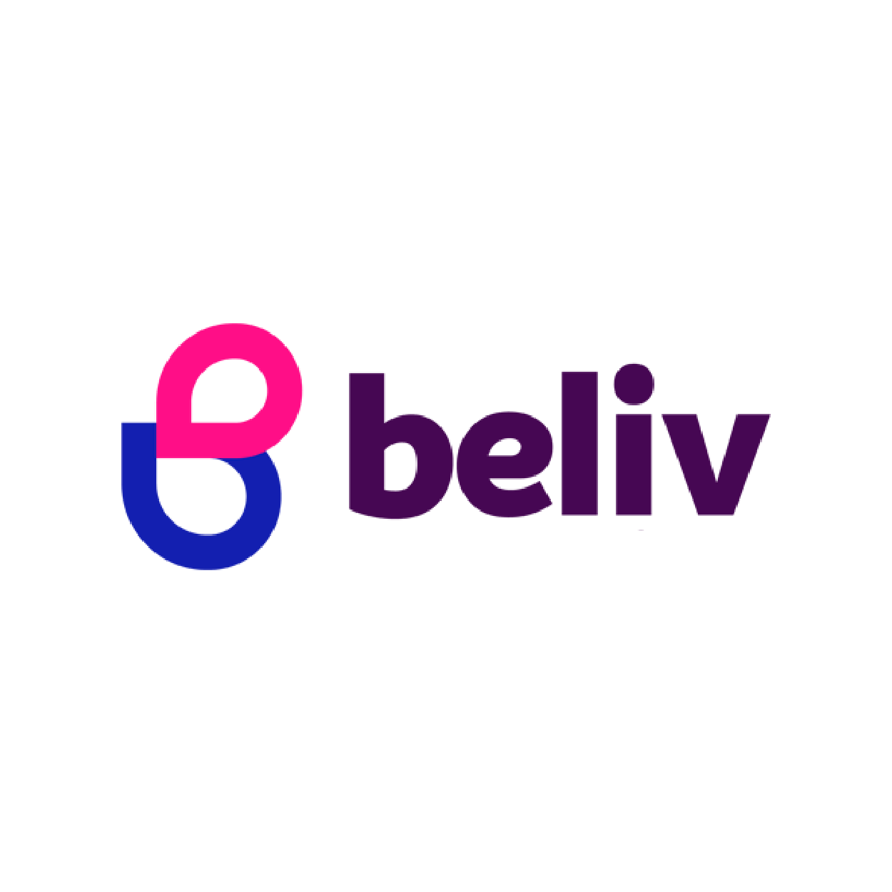 LOGOS-DV-26_beliv